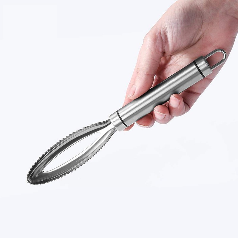 DBAILY Fish Scaler Stainless Steel 3 Pieces Professional Fish Scale