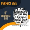 Funny Quote Stickers Pack - Unique Sarcastic Stickers Set -