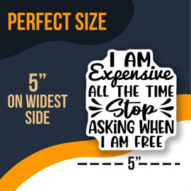 Funny Quote Stickers Pack - Unique Sarcastic Stickers Set - I Am Expensive All The Time - Stop Asking When I Am Free Decal - AAS0721