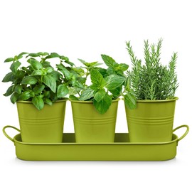 Plexon Herb Planter Indoor Garden Set of 3 with Tray, Metal Herb Pots for Indoor Plants, Round Kitchen Garden Kit Ideal for Windowsill Planter or Countertop, Green Powder Coated