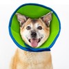 Soft Recovery Collar for Dogs and Cats Post-Surgery - Adjustable