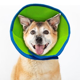 Soft Recovery Collar for Dogs and Cats Post-Surgery - Adjustable Protective Cone with Breathable Edge to Stop Licking/Biting, Pet Healing Collar Neck 30-35cm/11.8-13.8in (Blue, Medium)