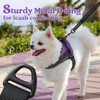rabbitgoo Dog Harness for Large Dogs, No Pull No Choke