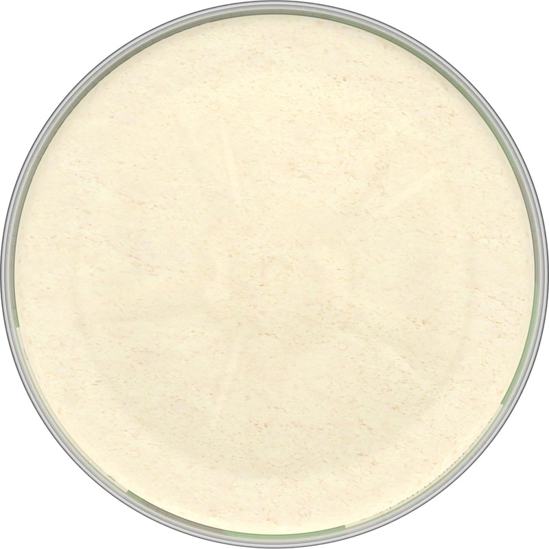 Kraft 100% Grated Parmesan Cheese Shaker (24 oz Bottle)