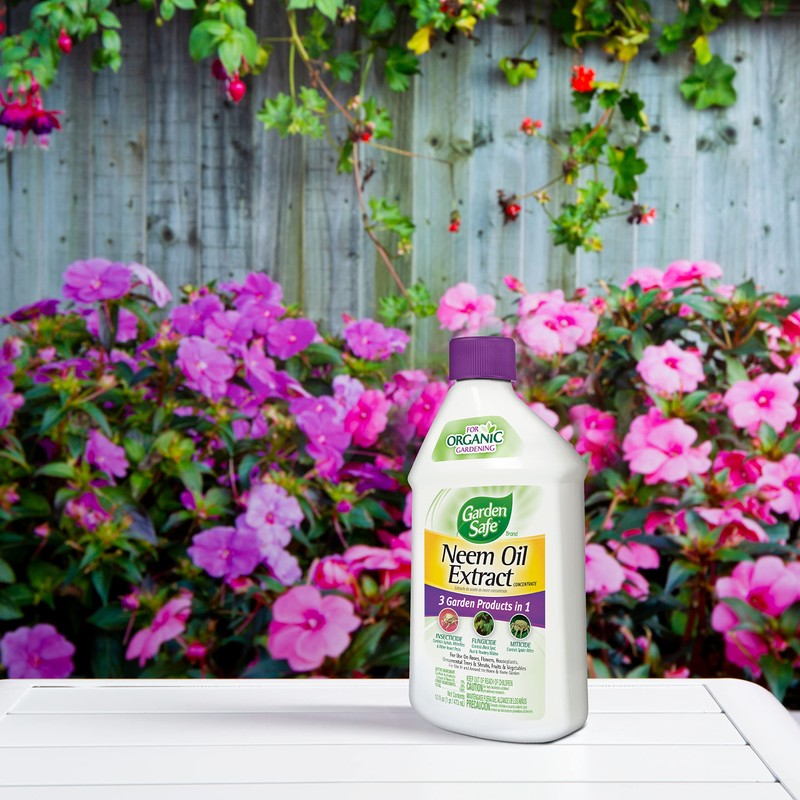 Garden Safe Neem Oil, 10 Fl Oz, Case Pack of