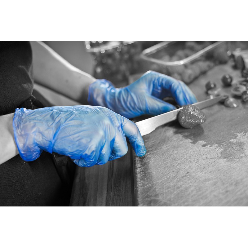 GD13 Blue vinyl powder free disposable glove, Latex free, suitable