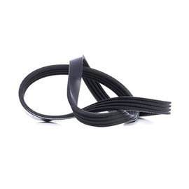 febi bilstein 28775 Auxiliary Belt, pack of one