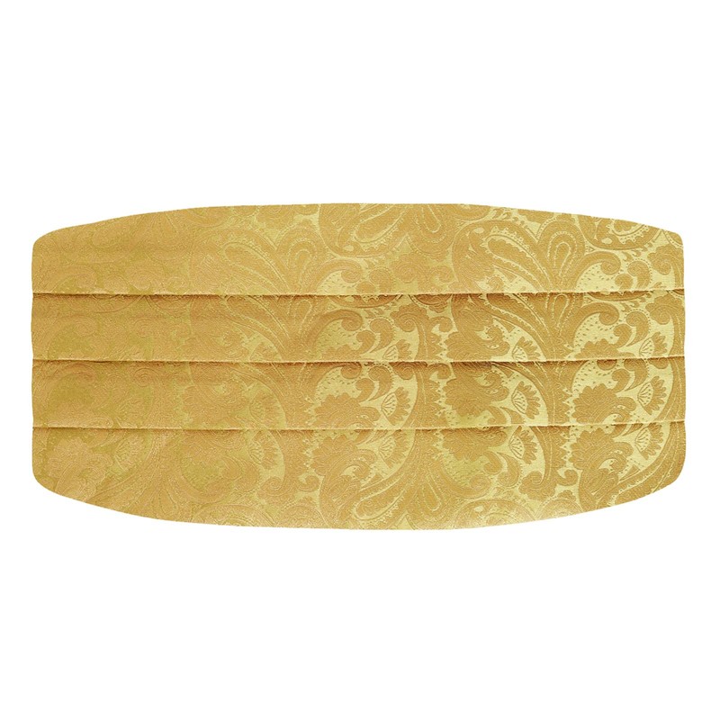 Alizeal Men's Modern Paisley Cravat & Pocket Square Set, 133-Golden