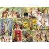 Gettin Squirrelly Puzzle: 1000-piece