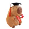 CHDBLOCK Graduation Capybara Plush Gift Set Include Stuffed Animal Capybara