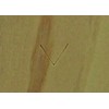 60 Degree V 7Mm Blade For Hct-30A Power Carver -Automach