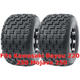 Set 2 WANDA Sport ATV Tires 22x10-10 fit for Kawasaki Bayou 220 250 Mojave 250 Rear P336