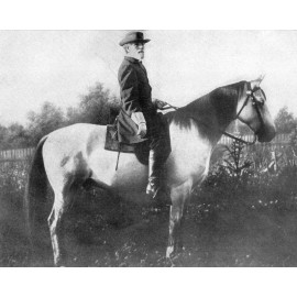 General Robert E. Lee Civil War with Horse Traveller 8 x 10 Photo Photograph