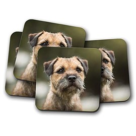 4 Set - Border Terrier Coaster - Dog Puppy Cute Cheeky Kids Animals #15940
