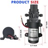 DC 12V Diaphragm Pump, Self-Priming Sprayer Pump, 1.2 GPM 87