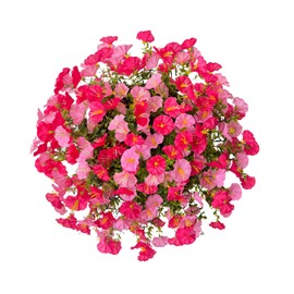 Artificial Hanging Faux Flowers Basket, Fake Silk Petunias Plants Arrangement,for Spring Summer Outdoor Decoration,UV Resistant, Morning Glorias,for Home Garden Decor (Dark&Light Pink)