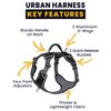 APDEXY No Pull Dog Harness with 2 Leash Clips, Reflective
