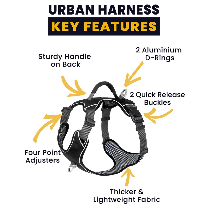 APDEXY No Pull Dog Harness with 2 Leash Clips, Reflective