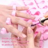 Nail Polish Starter Kit Color Gel + Manicure Lamp +