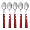 Stainless Steel Dinner Spoons, Buffet Serving Spoons Salad Serving Spoons
