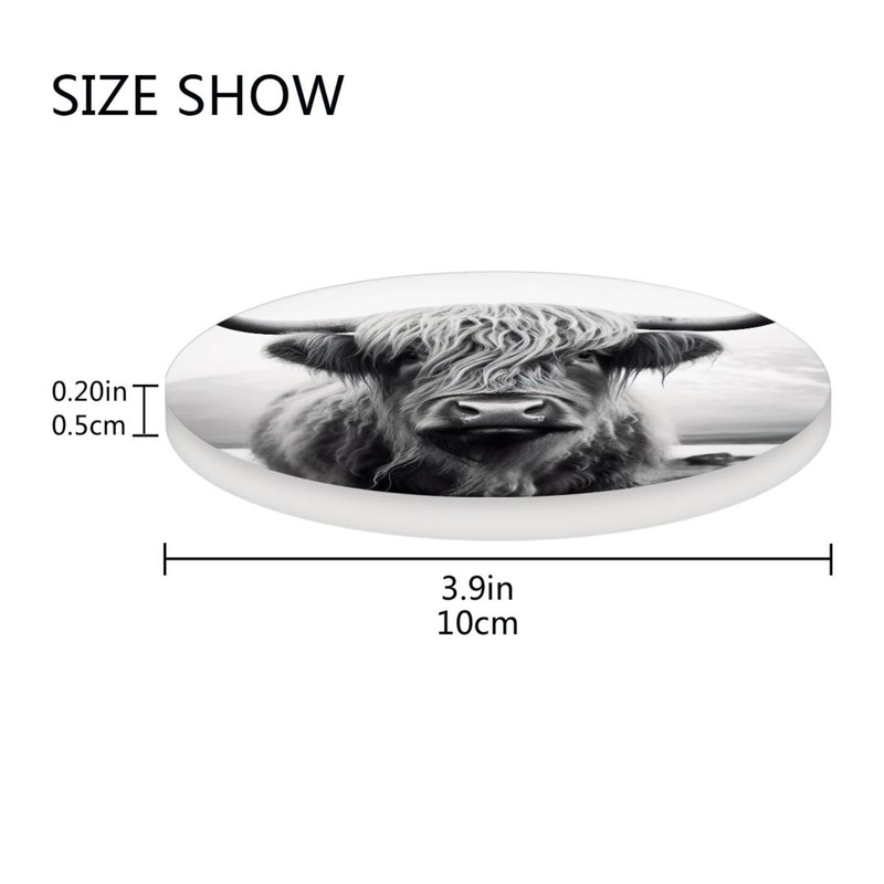 Vibiliyou 4PCS Coasters with Cork Base Desktop Protection Mat Absorbent