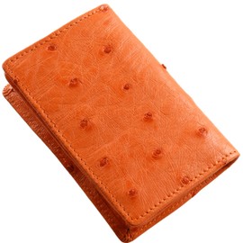 Sankyo Shokai Ostrich Leather Business Card Holder, Full Point Card Case, orange