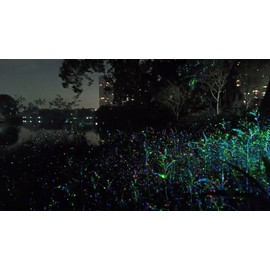 Bzdo Laser Projector Lights Christmas Lights for Home Garden RED BLUE & GREEN Colour