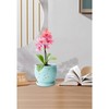 Orchid Pot 6.3 Inch, Orchid Pots with Holes & Saucer,