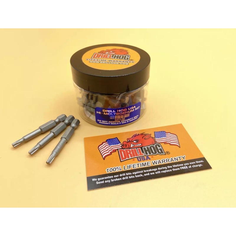 Drill Hog T-25 x 2" Torx Bit T-25 Star Bit