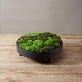 Paquete de 2 colores de mezcla de musgo preservado, cojín decorativo natural, verde, kit de bricolaje para decoración de pared, decoración de floristería, decoración de mesa de Pascua, boda