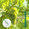 Bird Protection Net, Bird Net, Tight Mesh, 4 x 10