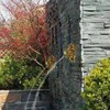 YARNOW Lion Head 3-Piece Pond Fountain Nozzle Set - Gray