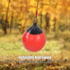 Plplaaoo Inflatable Ball Swing for Kids | Buoy Ball Swing