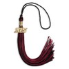 Endea Graduation Mixed Double Color Tassel with Gold Date Drop