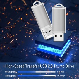 USB Thumb Drive 16GB Flash Drives 20 Pack, Nicepicten Memorias USB 2.0 Memory Stick FAT32 Flash Zip Drive 16 GB Jump Drives Multipack Pendrive with Landards and Lables (Sliver 16GB, 20 Pieces)