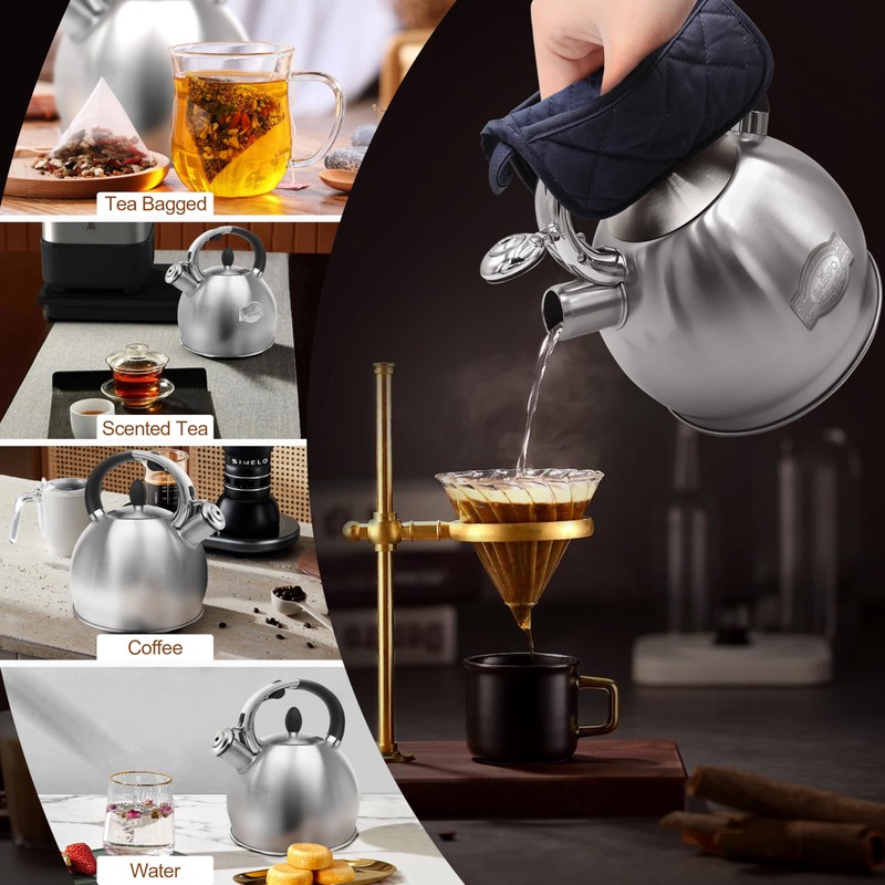 BAERFO Stainless Steel Tea Kettle, Tea Kettles Stovetop, Vintage Whistling