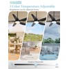 46" Outdoor Ceiling Fan with Lights,Plug in Hanging,IP65 Waterproof(Black)