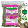 Cardo Mariano - Milk Thistle Loose Leaves (4.1 oz/116.2 gr)