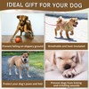 FANGCCC 2 Pairs Dog Socks Stop Licking Paws Anti-Slip Dog