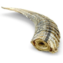 Icelandic Plus Small Lamb Horn with Marrow Dog Chew
