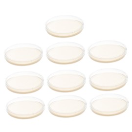 Mobestech 10pcs Nutrient Agar Petri Dish Plates Sterile Agar Medium Plates for School Lab Use