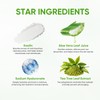 Green Tea Clay Mask | Antioxidant Green Tea Clay Mask