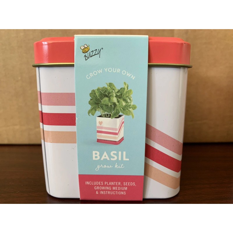 Buzzy Grow Your Own Grow Kit Mini Rose, Basil, &