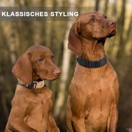 Voarge Tactical Dog Collar, Adjustable Dog Collar with Control Handle, Padded Nylon Dog Collar, Metal Buckle, for Medium Large Dogs, Hunting Training, Outdoor (Black, M)