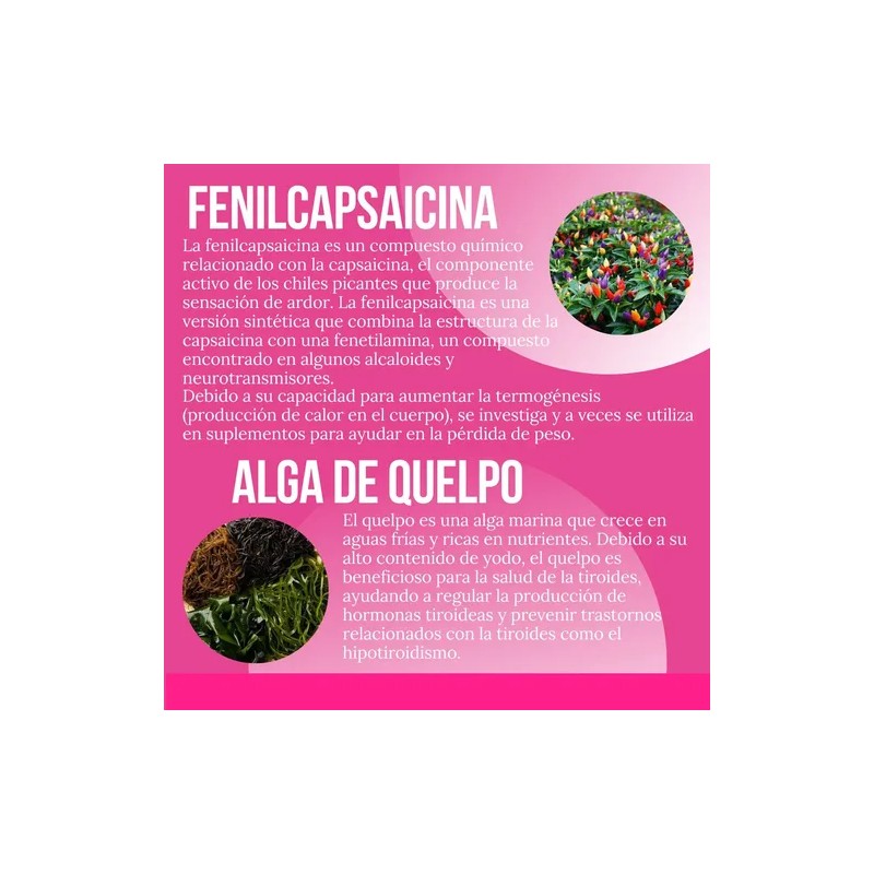 Creatina Monohidratada + Quemador Reductivo Con Lipoenzimas Sabor Sin Sabor