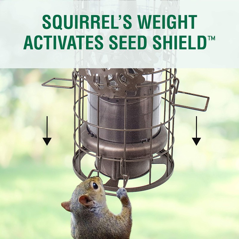 Perky-Pet SBG101 Squirrel Off Max Pinecone Bird Feeder with Flexports