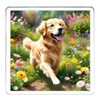 Golden Retriever Dog Coaster Set. 4 different Golden Retriever Dog