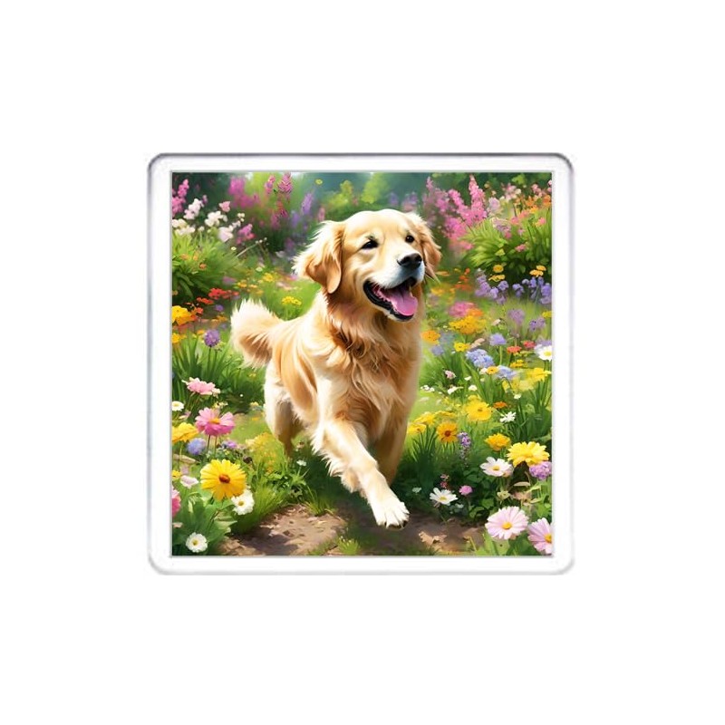 Golden Retriever Dog Coaster Set. 4 different Golden Retriever Dog