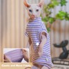 Sphynx Hairless Cat Shirt Rainbow Stripe Kitten T-Shirt With Sleeves,