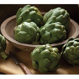 David's Garden Seeds Artichoke Tavor 9284 (Green) 25 Non-GMO, Open Pollinated Seeds